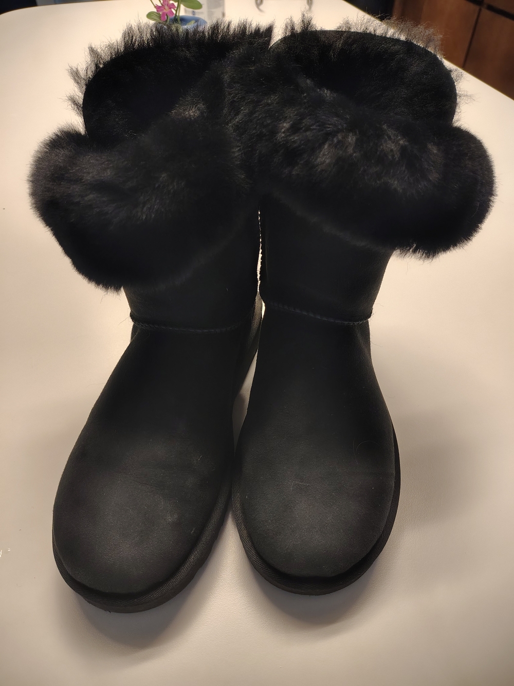UGG Women's Bailey Zip Short boots in the black colorway